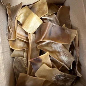 Nötchips 10-pack