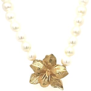 Per Borup Liten “Amarylis Belladonna” 647L