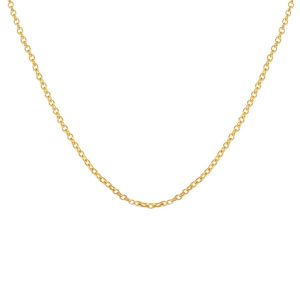 Beloved Long Rolo Chain Gold