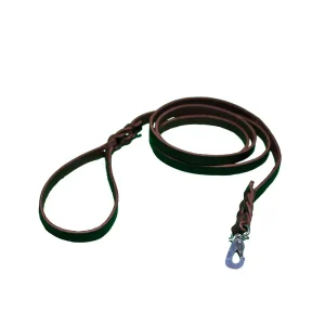 Dog leash 14mm
