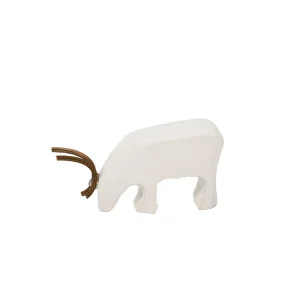 Svalbard reindeer grazing