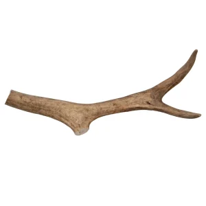 Renhorn tuggben – 25cm